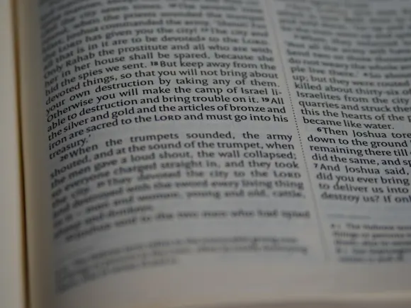 Казино Гранд Игъл Поддръжка